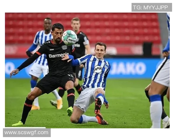 多特蒙德与帕德博恩激战在即谁能在德甲赛场笑到最后